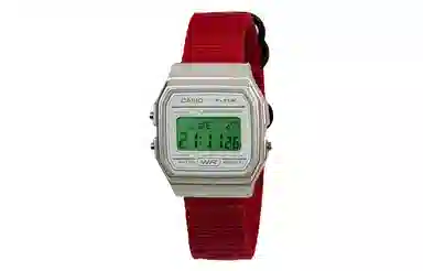 CASIO F-91WS-7