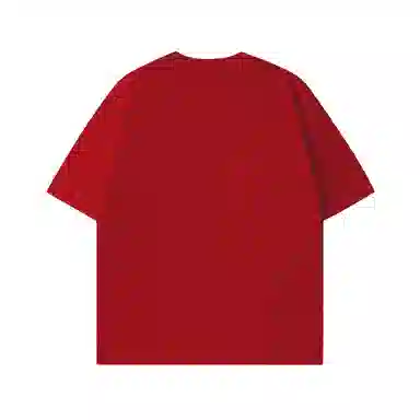 HIPANDA T