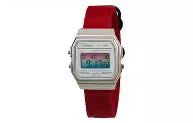 CASIO F-91WS-7