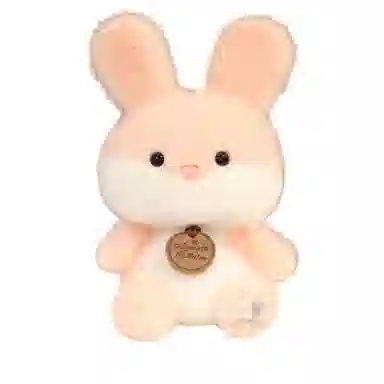 15cm