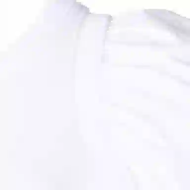 Alexander McQueen SS22