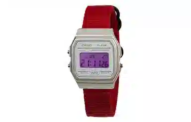 CASIO F-91WS-7