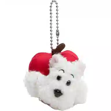 Tagi. 66go 10cm13.5cm16cm