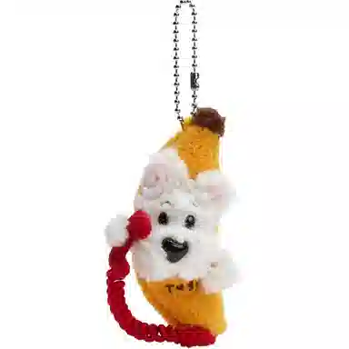 Tagi. 66go 10cm13.5cm16cm