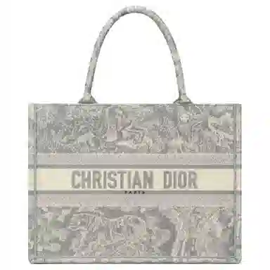 DIOR BookTote Tote