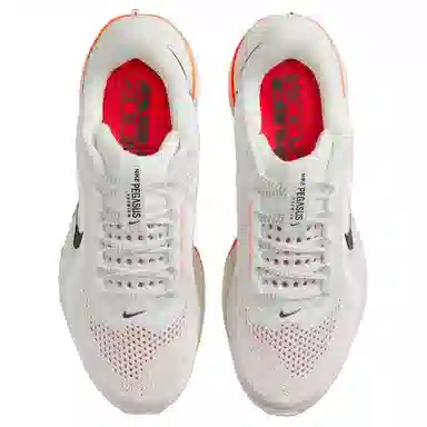 Nike Pegasus Premium