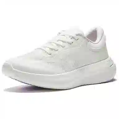 Anta