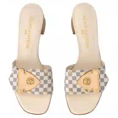 LOUIS VUITTON Frame 4.5cm