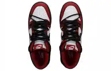 Nike Dunk TMS