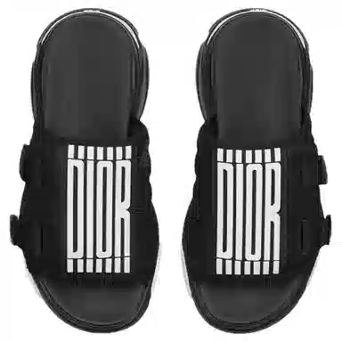 DIOR D-Wander