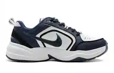 Nike Air Monarch 4
