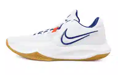 Nike Precision 6