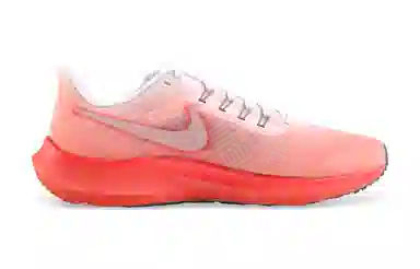 Nike Air Zoom Pegasus 39