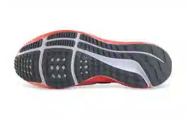 Nike Air Zoom Pegasus 39