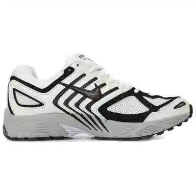 Nike Air Pegasus 2005
