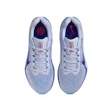 Nike Winflo 11 Grey Blue