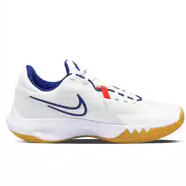 Nike Precision 6