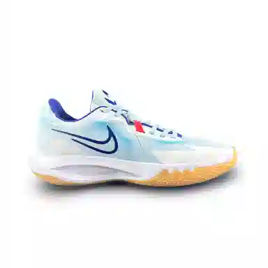 Nike Precision 6