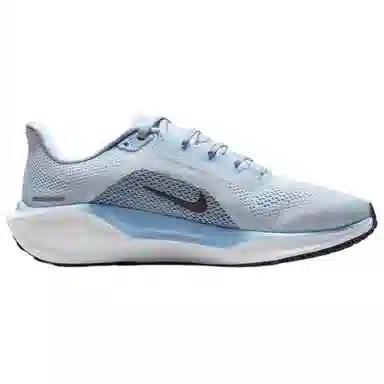Nike Air Zoom Pegasus 41