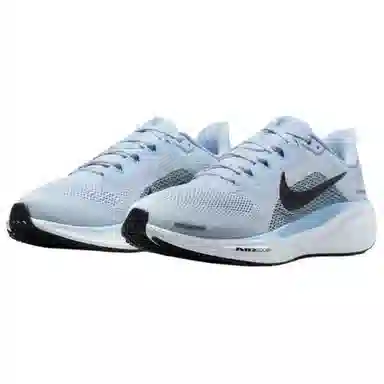 Nike Air Zoom Pegasus 41