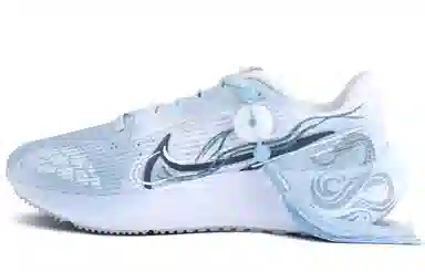 Nike Air Zoom Pegasus 40