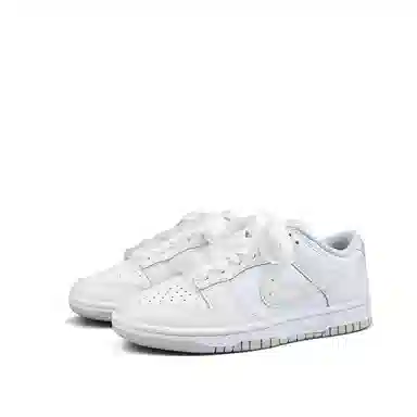 Nike Dunk Low White Silver