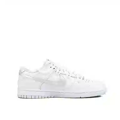 Nike Dunk Low Retro White Silver