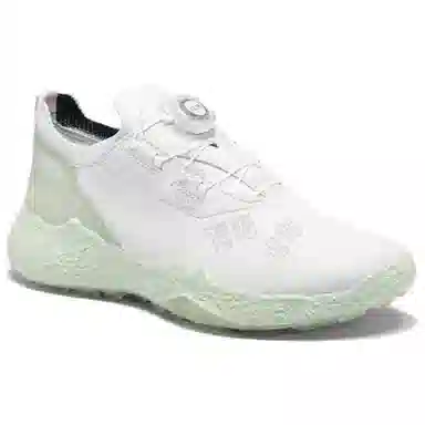 ecco GOLF BIOM H5