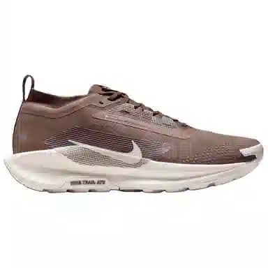 Nike Pegasus Trail 5 GORE-TEX