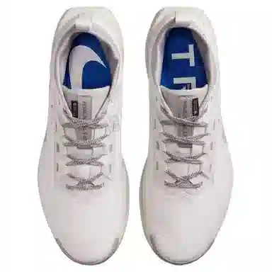 Nike Pegasus Trail 5 GORE-TEX