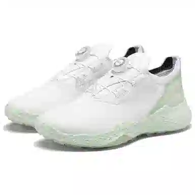 ecco GOLF BIOM H5