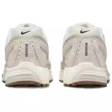 Nike Air Pegasus 2005