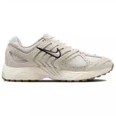 Nike Air Pegasus 2005