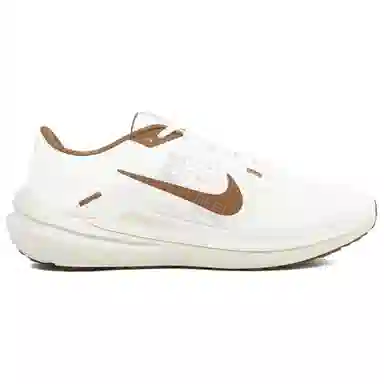 Nike Air Winflo 10 White