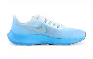 Nike Air Zoom Pegasus 39