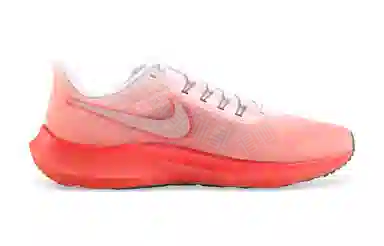 Nike Air Zoom Pegasus 39