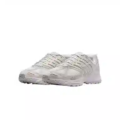 Nike Air Pegasus 2005 SE