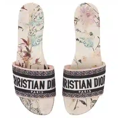 DIOR Dway