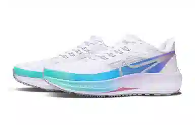 Nike Air Zoom Pegasus 39