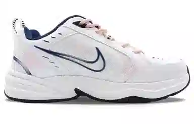 Nike Air Monarch 4