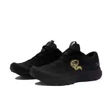 Arcteryx AERIOS FL GTX