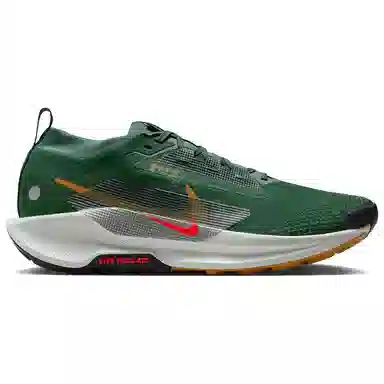 Nike Pegasus Trail 5 Gore-Tex