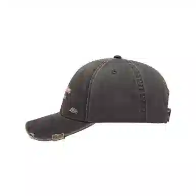 Champion Ages Ball Cap