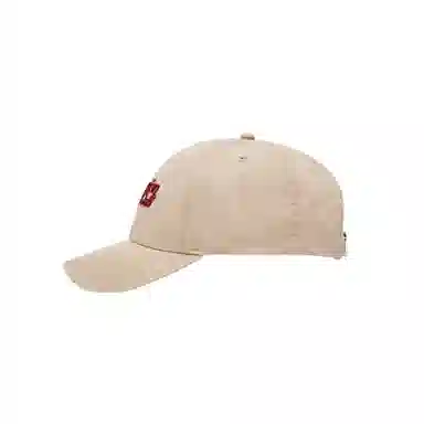 Champion Combo Ball Cap 2.0