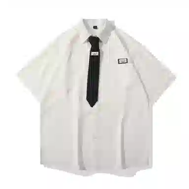 PINSCIO ZENIE