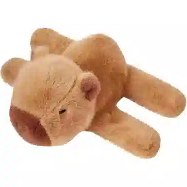 20cm