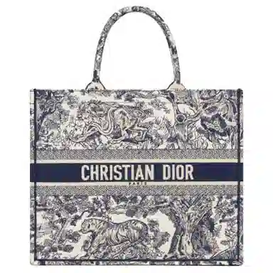 DIOR BookTote Tote