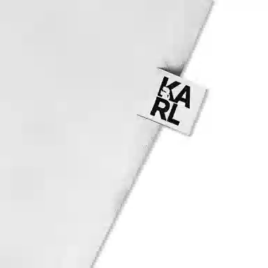 KARL LAGERFELD LogoT