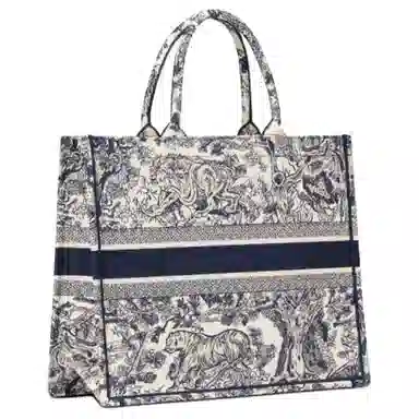 DIOR BookTote Tote
