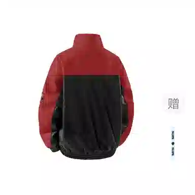 pallsupol